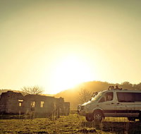 Wild Australian Wildlife 4WD Tour from Sydney - C Tourism