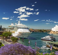 Sydney Private Day Tours  Main Attractions and Highlights  6 Hour Private Tour - C Tourism