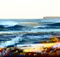 7-Day Byron Bay Evans Head and Moonee Beach Surf Safari from Brisbane Gold Coast or Byron Bay - C Tourism