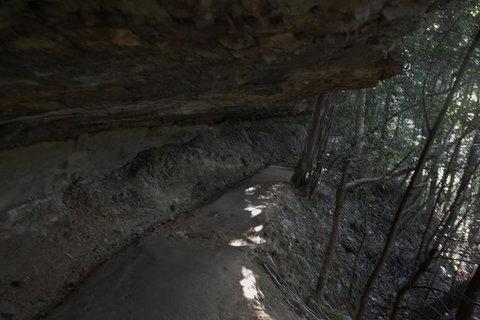 Private Blue Mountains Insider Tour From Sydney - C Tourism 25