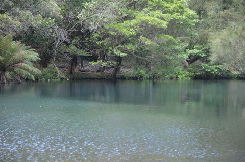 Blue Mountains And Jenolan Caves Motorcoach Day Tour - C Tourism 4