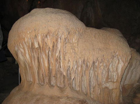 Blue Mountains And Jenolan Caves Motorcoach Day Tour - C Tourism 18