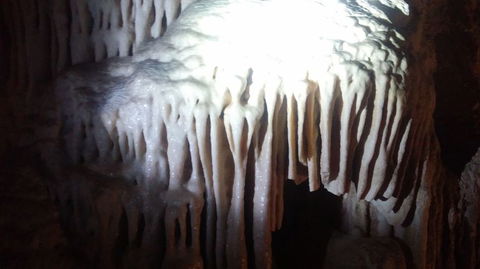 Blue Mountains And Jenolan Caves Motorcoach Day Tour - C Tourism 6