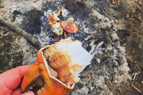 Pot To Plate Adventure - C Tourism 4