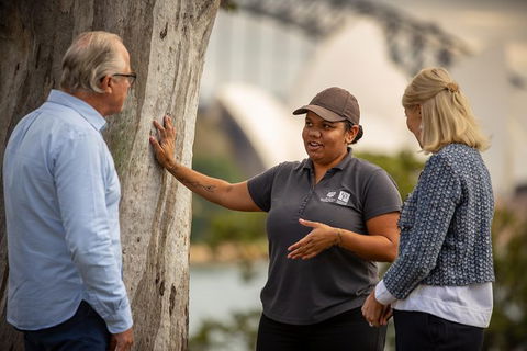 Aboriginal Heritage Tour At The Royal Botanic Garden Sydney - C Tourism 1