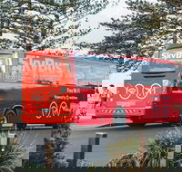 SkyBus Byron Bay Express - C Tourism