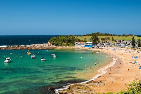 Newcastle And Central Coast Private Shore Excursion | Departs Newcastle Port - C Tourism 8