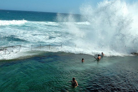 Newcastle And Central Coast Private Shore Excursion | Departs Newcastle Port - C Tourism 9