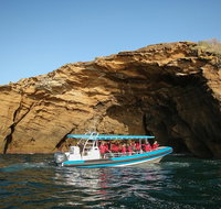 Hunter Coastal Adventure Tour by Boat from Newcastle - C Tourism