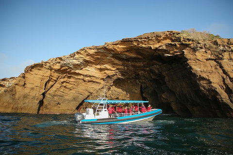 Hunter Coastal Adventure Tour By Boat From Newcastle - C Tourism 2