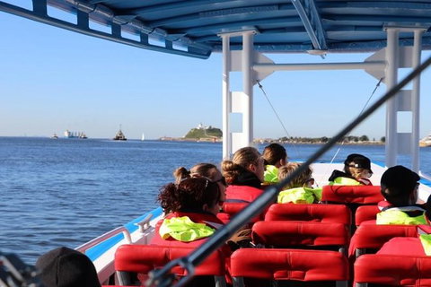 Hunter Coastal Adventure Tour By Boat From Newcastle - C Tourism 4