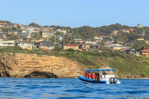 Hunter Coastal Adventure Tour By Boat From Newcastle - C Tourism 5