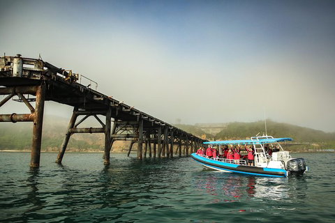 Hunter Coastal Adventure Tour By Boat From Newcastle - C Tourism 6
