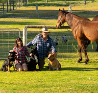 Meet The Animals - C Tourism