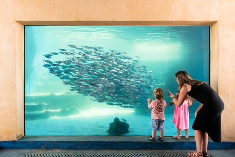 AQWA The Aquarium Of Western Australia - C Tourism 0