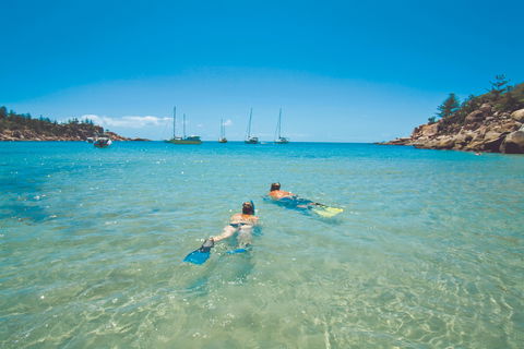 Arcadia At Magnetic Island - C Tourism 0