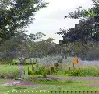 Avondale - C Tourism