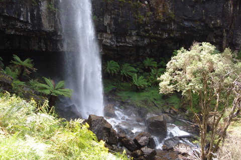 Bindaree Falls - C Tourism 1