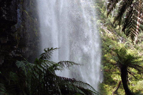 Bindaree Falls - C Tourism 2