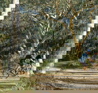 Bundanoon cycling route - C Tourism