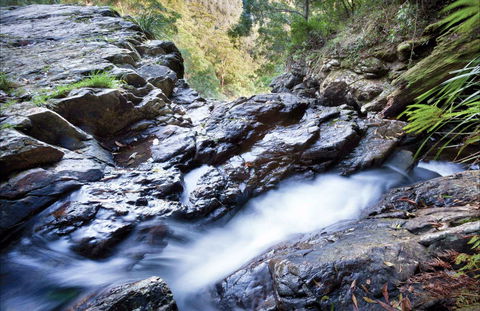 Casuarina Falls Circuit - C Tourism 0