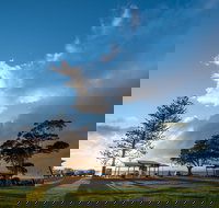 Cleveland Nandeebie/Indillie - C Tourism