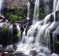 Darkes Forest - C Tourism