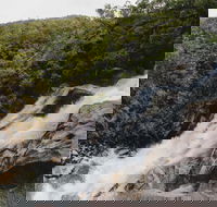 Davies Creek National Park and Dinden National Park - C Tourism