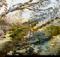 Dead Horse Gap walking track - C Tourism