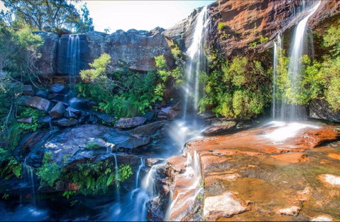 Dharawal National Park - C Tourism 0