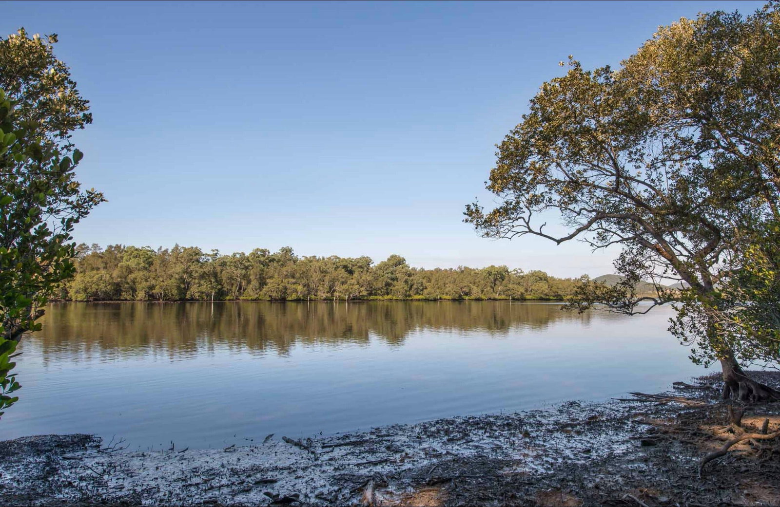 Limeburners Creek NSW C Tourism