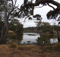 Duck Lagoon - C Tourism