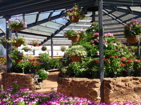 Geelong Botanic Gardens - C Tourism 1