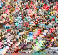 Gnomesville - C Tourism
