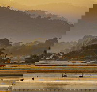 Greens Beach - C Tourism