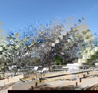 Gregory's Tree Timber Creek - C Tourism