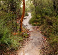 Great North walk - Brisbane Water National Park - C Tourism