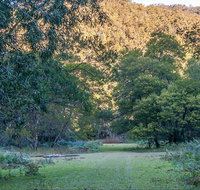 Griffins walking track - C Tourism