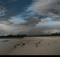 Hardwicke Bay - C Tourism