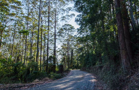Hastings Forest Way Touring Route - C Tourism 0