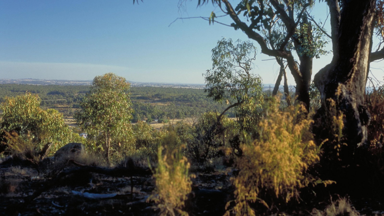 Rich Avon East VIC C Tourism