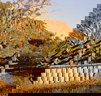 Illamurta Springs Conservation Reserve - C Tourism