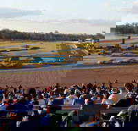 Ipswich Motorsport Precinct - C Tourism