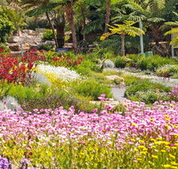 Jurassic Garden AR Experience - C Tourism
