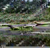 Kayaking Upper Tuross River and Bumbo Lake - C Tourism
