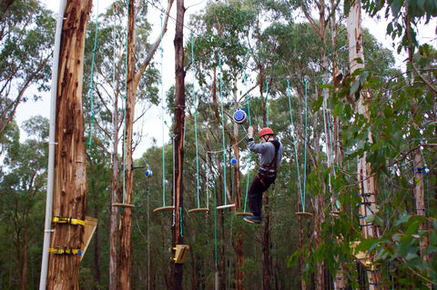 Kinglake Forest Adventures - C Tourism 0