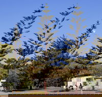 Kurrawa Park - C Tourism