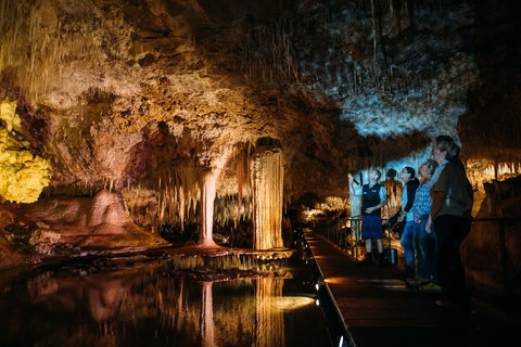 Lake Cave - C Tourism 0