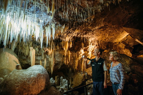 Lake Cave - C Tourism 1