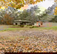Major Clews Hut Walking Track - C Tourism